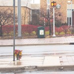 Flowers set at the scene of the accident. Photo by Brandon Martinez | Web Editor