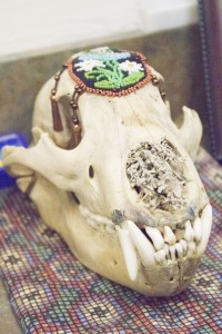 On display at Ferris’ Ghost Supper, deer skulls are known by many Native American tribes as caretakers of the earth.